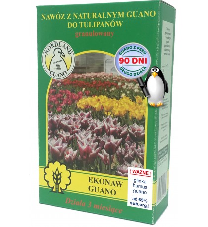 Nawozy do tulipanów